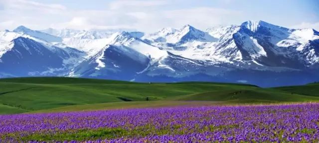 新疆，嘉宾云集，观众热情如火